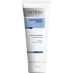 تصویر کرم آنتی اکسیدان‌ گاتیو ANTIOXIDANT CREAM GATIEAU