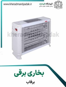 تصویر بخاری برقی برفاب 