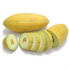 تصویر خربزه Melon