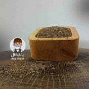 تصویر زنیان 