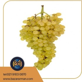 تصویر انگور کشمشی سفید 