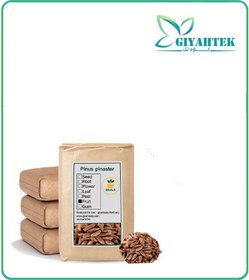 تصویر چلغوز بوداده فله 