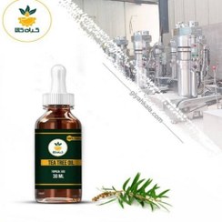 تصویر روغن درخت چای مخصوص پوست صورت 