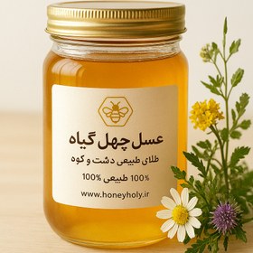 تصویر عسل چهل گیاه - 910 گرم 