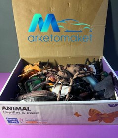 تصویر بسته ۱۲ عددی حشرات ماقبل تاریخ اوریجینال 