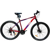 تصویر دوچرخه کوهستان اینتنس Intense مدل Champion CD200 سایز 29 