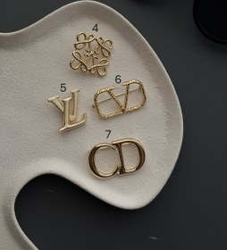 تصویر سنجاق سینه 