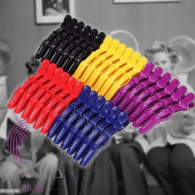 تصویر کلیپس تقسیم سوسماری 