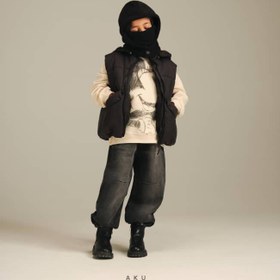 تصویر پافر اکو 