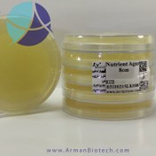 تصویر پلیت آماده نوترینت آگار قطر 8سانت Pre-prepared Nutrient Agar Plate, 8 cm Diameter