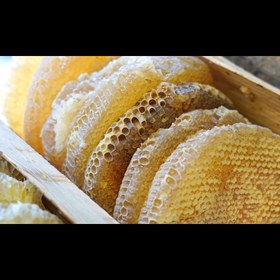 تصویر عسل وحشی - 910 گرم 