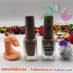 تصویر لاک ناخن گابرینی MATTE شماره M 10 