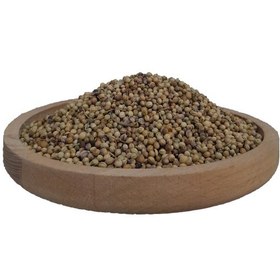 تصویر فروش تخم گشنیز 200 گرم 