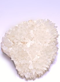 تصویر کلسیت جوجه تیغی مینیمال 