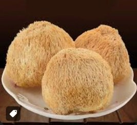 تصویر قارچ یال شیر خشک بسته یک کیلویی lion's mane mushroom