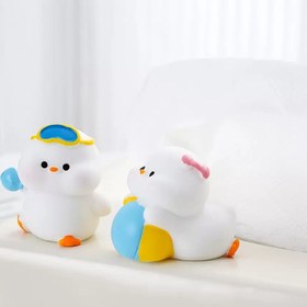 تصویر اردک های ساحلی 