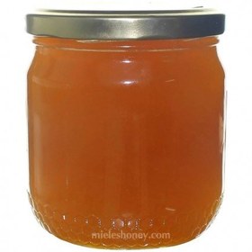 تصویر عسل خارمریم - 320 گرم 