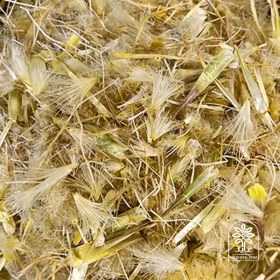 تصویر خار مریم اعلا 