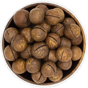 تصویر فندق ماکادمیا Macadamia