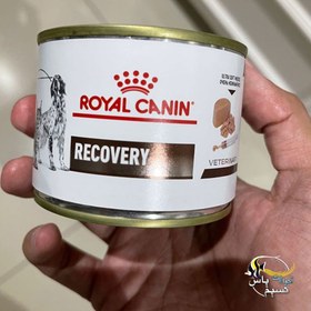 تصویر کنسرو ریکاوری رویال کنین سگ و گربه 195 گرم Royal Canin Recovery for Cats & Dogs 195g