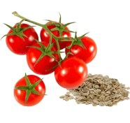 تصویر بذر گوجه گیلاسی 