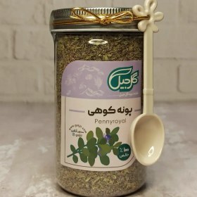 تصویر پونه کوهی گل‌جیل 