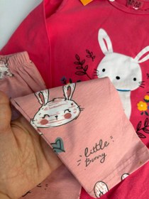 تصویر ست خرگوش وارداتي 