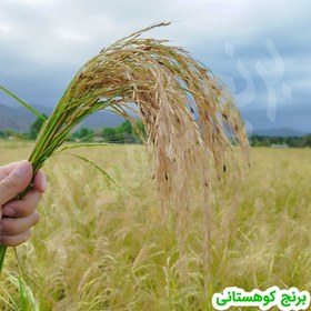 تصویر برنج هاشمی درجه یک 20 کیلویی الک دو 