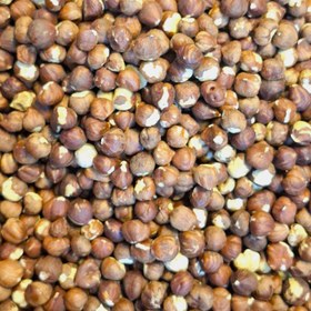 تصویر مغز فندق خام ایرانی 