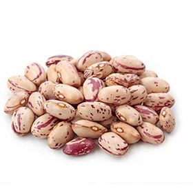 تصویر لوبیا چیتی عمده 