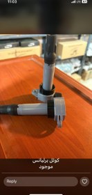 تصویر کوئل برلیانس و اریو 