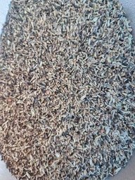 تصویر تخم کاسنی 