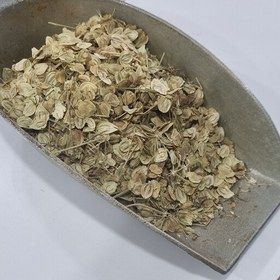 تصویر گلپر درشت زردکوه بختیاری فوق العاده معطر بسته ی 1000گرمی 