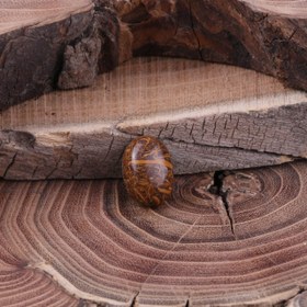 تصویر نگین بیضی جاسپر مریم 