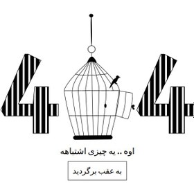تصویر قالب HTML فارسی صفحه ۴۰۴ تم قفس پرنده 