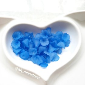 تصویر شکوفه شیپوری مات 