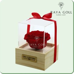 تصویر رز جاودان عشق 