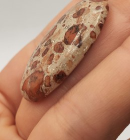 تصویر نگین جاسپر پلنگی کد N067 