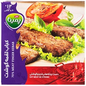 تصویر کباب لقمه ۷۰ درصد گوشت پمینا ۴۸۰ گرم 