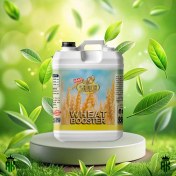 تصویر کود مخصوص گندم و جو شوک مایع - حجم: 5 لیتر 