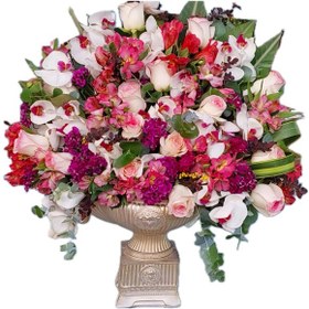 تصویر جام ارکیده 