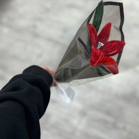 تصویر گل بافت لیلیوم 