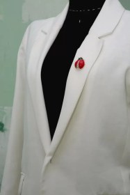 تصویر کد A-136 | گل‌سینه کفشدوزک 