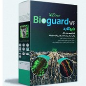 تصویر سم قارچکش بیولوژیک بایوران مدل بایوگارد وزن 1 کیلوگرم Bilogical Fertilizer Bioguard