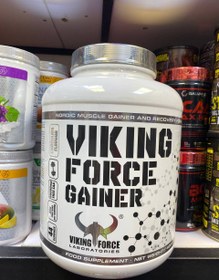 تصویر گینر وایکینگ فورس 4 کیلویی VIKING FORCE GAINER بندر گناوه 