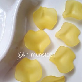 تصویر گلبرگ چیپسی 