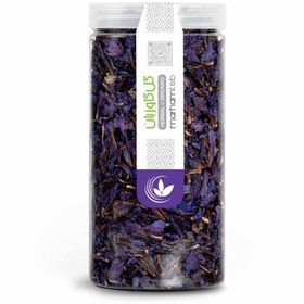 تصویر گل گاوزبان 