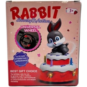 تصویر خرگوش موزیکال روی کیک 