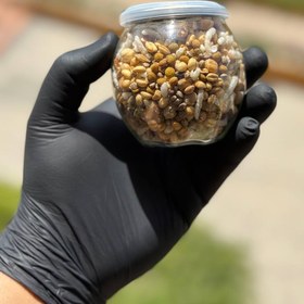 تصویر آجیل سلامت 