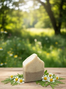 تصویر فروشگاه محصولات گیاهی مهتاب